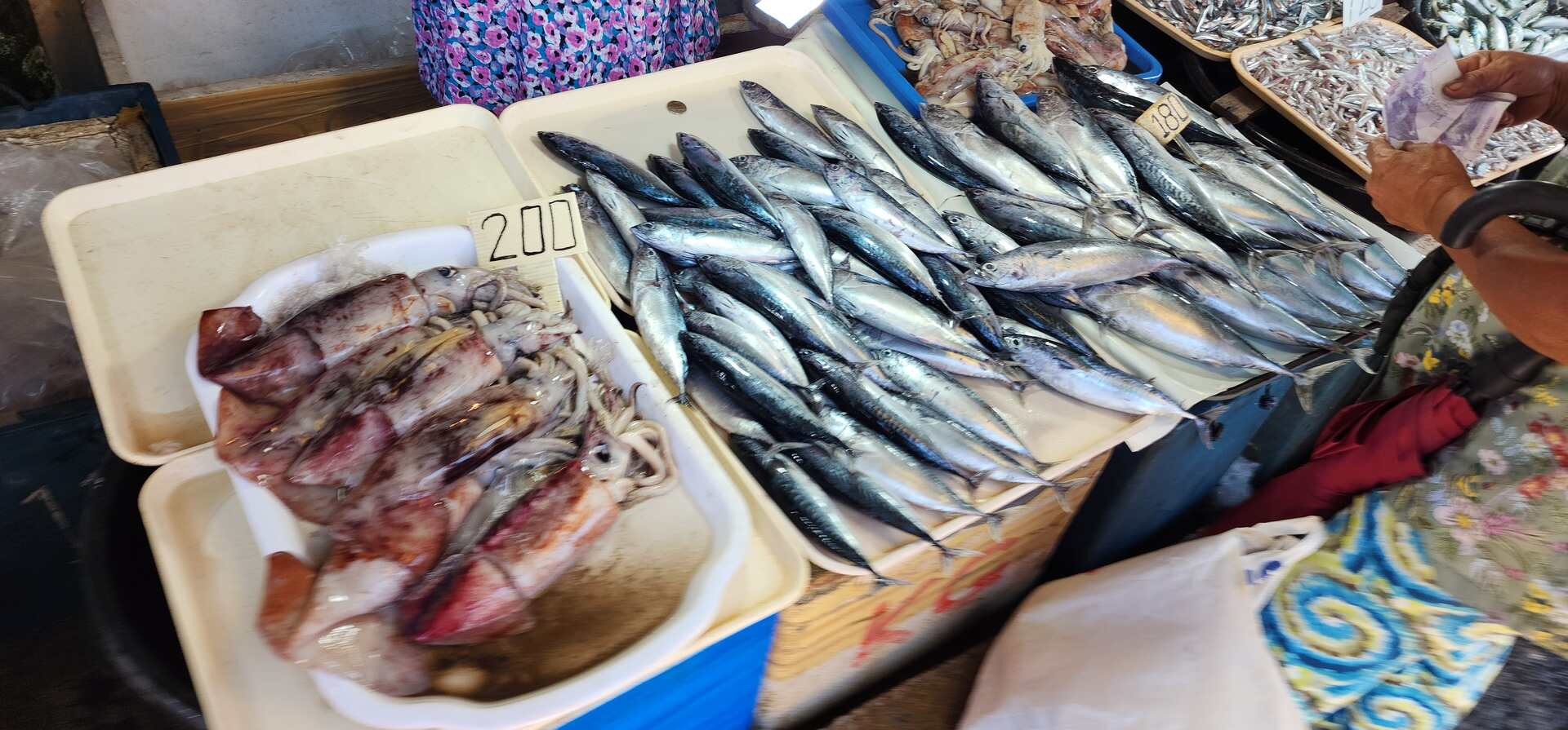 Toledo Fish Market